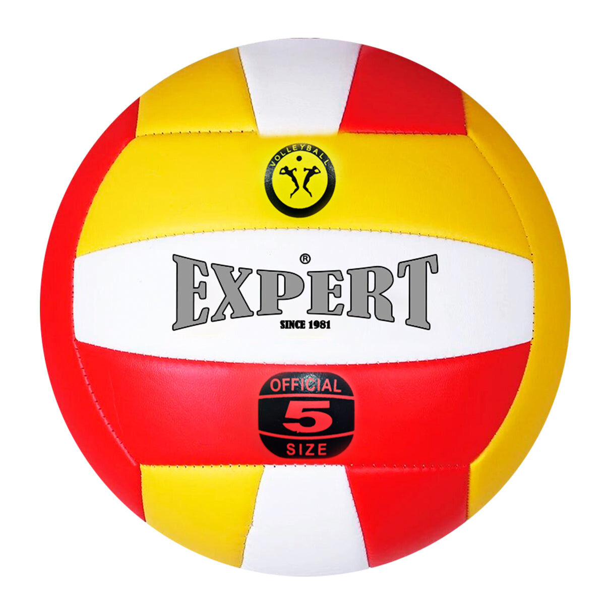 Pelota Volleyball Expert Nº5 Oficial Voley Playa - Pel005002 