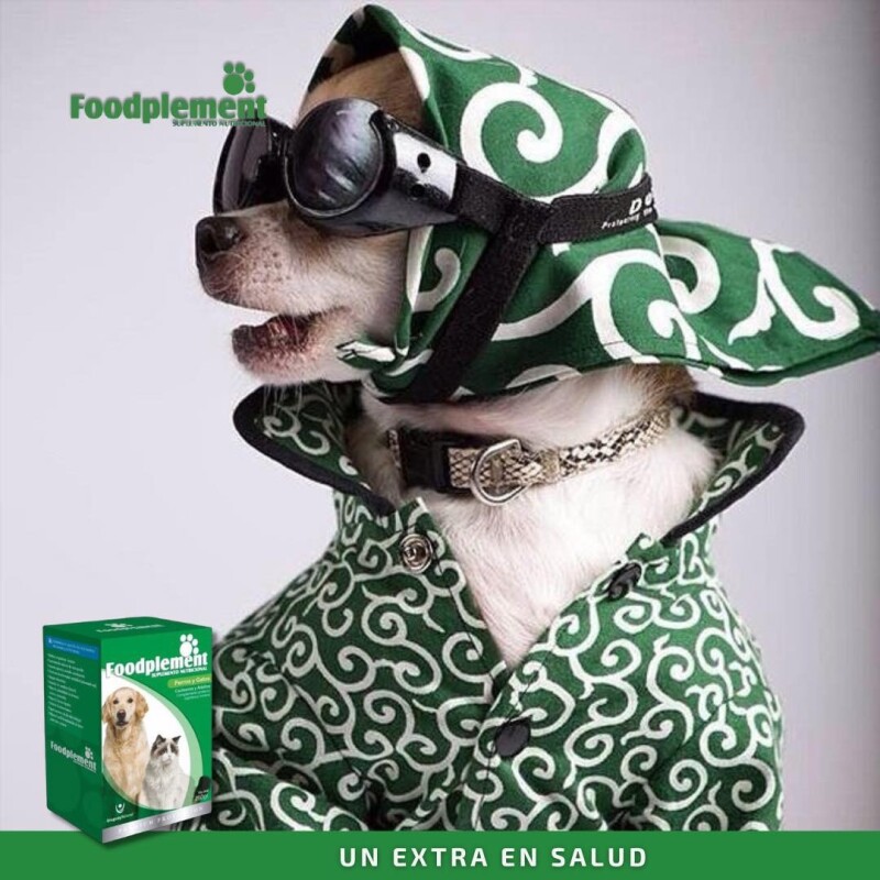 SUPLEMENTO NUTRICIONAL FOODPLEMENT CAJA DE 250 G SUPLEMENTO NUTRICIONAL FOODPLEMENT CAJA DE 250 G