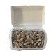 LANGOSTINO SIN CABEZA VANNAMEI 31/35 - 2 KG Langostino Sin Cabeza Vannamei 31/35 - 2 Kg