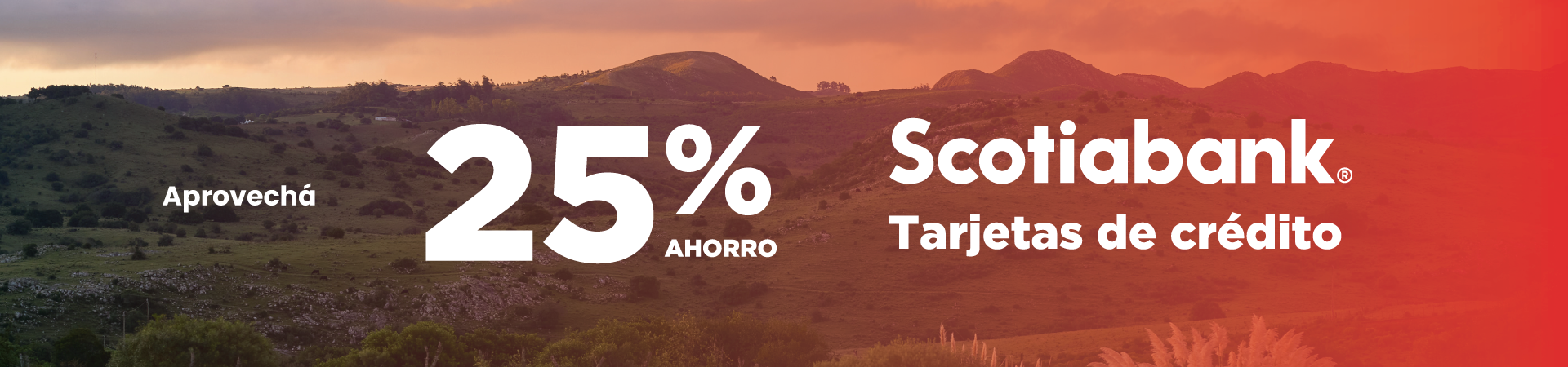Scotia_25%
