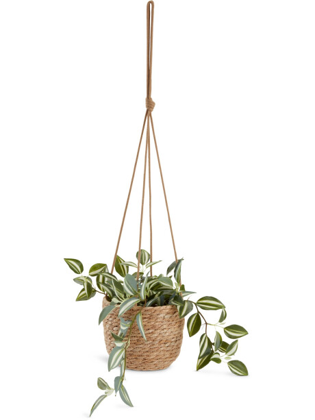 Maceta STEFAN Ø17xA15cm natural Maceta STEFAN Ø17xA15cm natural