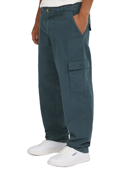 Pantalones Essentials Cargo Steel Pantalones Essentials Cargo Steel