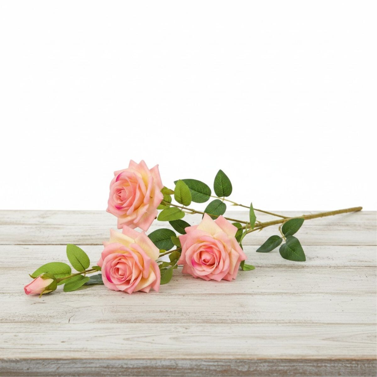 Rama de Rosas - Rosada 