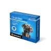 Guardian 20,1 a 40 kgs (1000mg)
