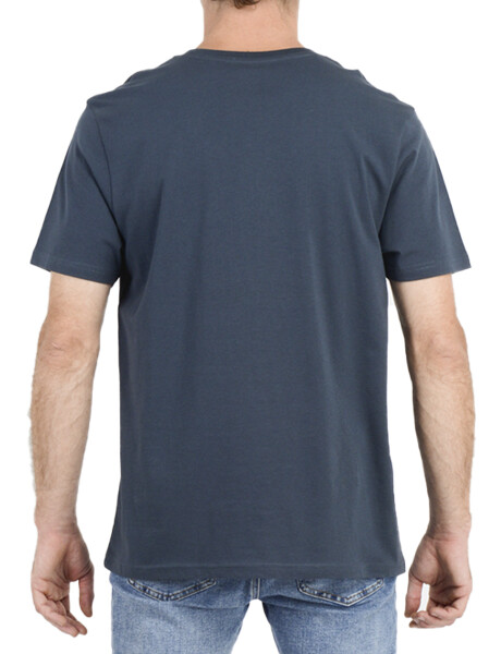 Remera O'Neill Og's Coast Azul