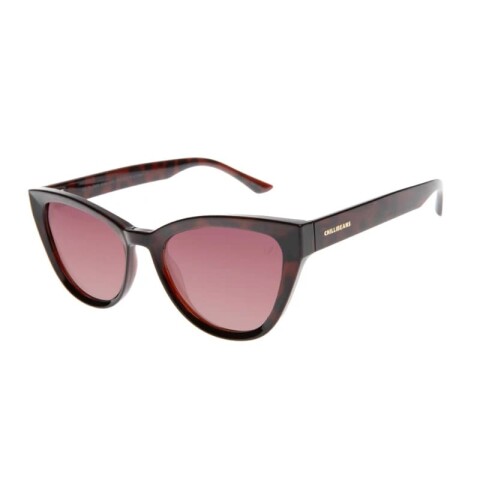 Lentes de Sol Mujer Chilli Beans Cat Polarizados Marrón Oscuro Lentes de Sol Mujer Chilli Beans Cat Polarizados Marrón Oscuro