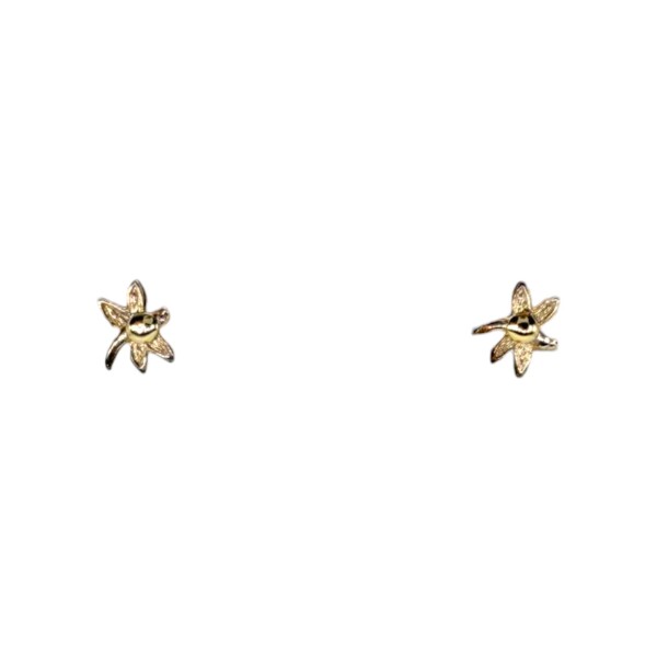 Caravanas Flor de Estrella Plata- Plata 925- Sin Piedra- CA4107 sinpiedra