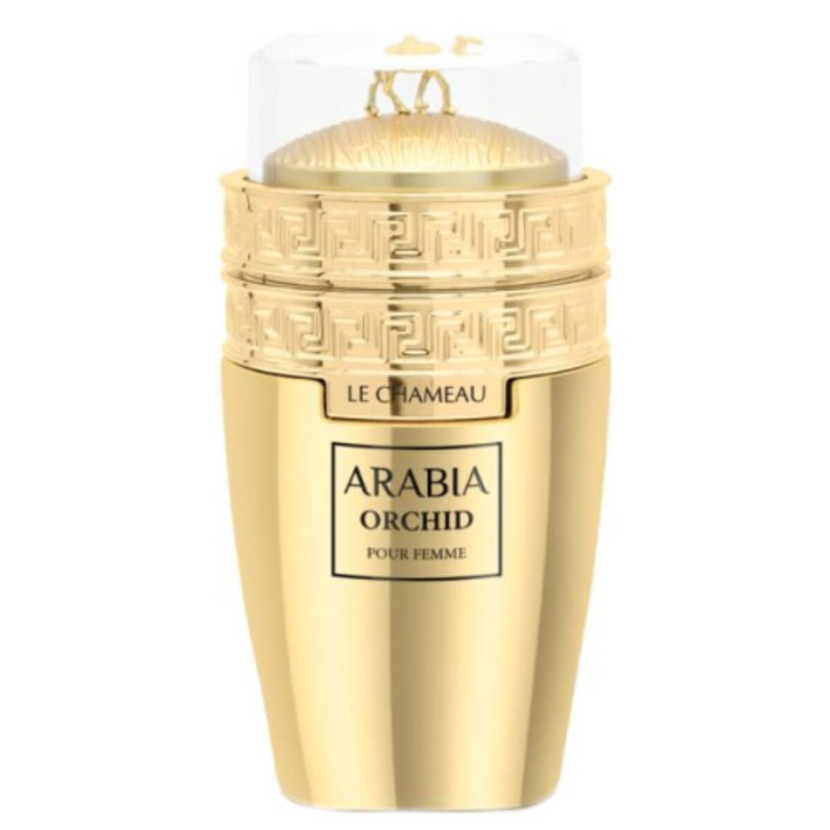 Fragancia Femenina Arabe Le Chameau Orchid EDP - 100 Ml 