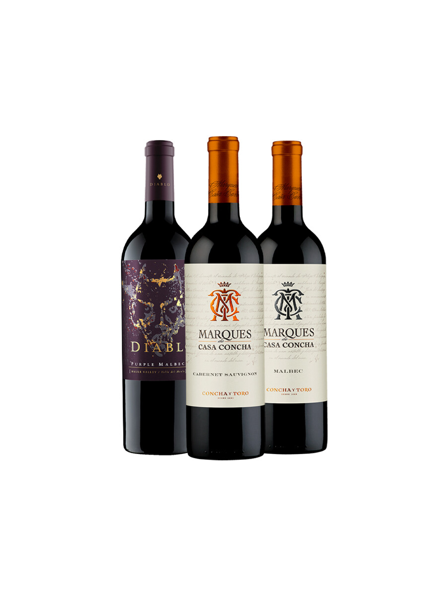Pack Bacán Selección Mapa del Sur x3 vinos Perfil Chileno Pack Bacán Selección Mapa del Sur x3 vinos Perfil Chileno