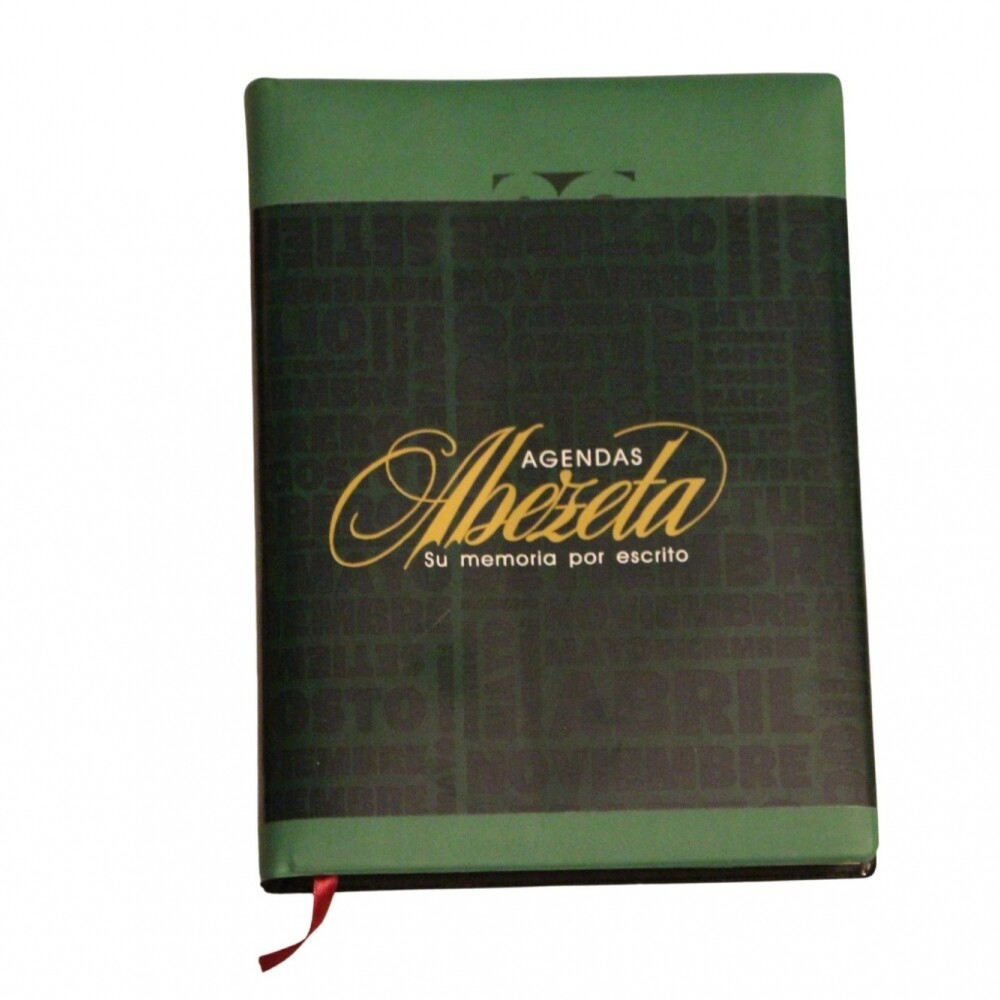 AGENDA ABEZETA 313 DIA X DIA TAPA VERDE