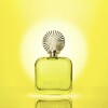 Perfume Shakira Amarillo EDP 50ML Perfume Shakira Amarillo EDP 50ML