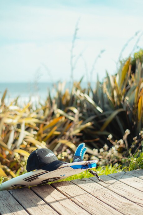 Gorra Shark / Negro Gorra Shark / Negro
