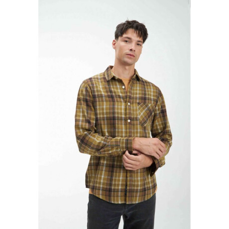 Camisa Ajoshua Musgo