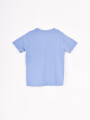 REMERA IÑAQUI PALMS AZUL CLARO