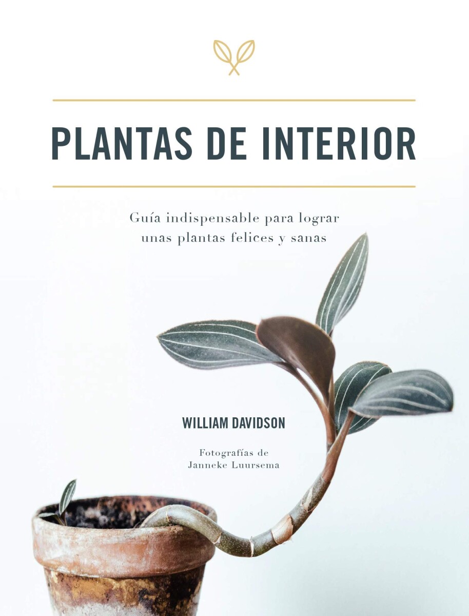 PLANTAS DE INTERIOR 