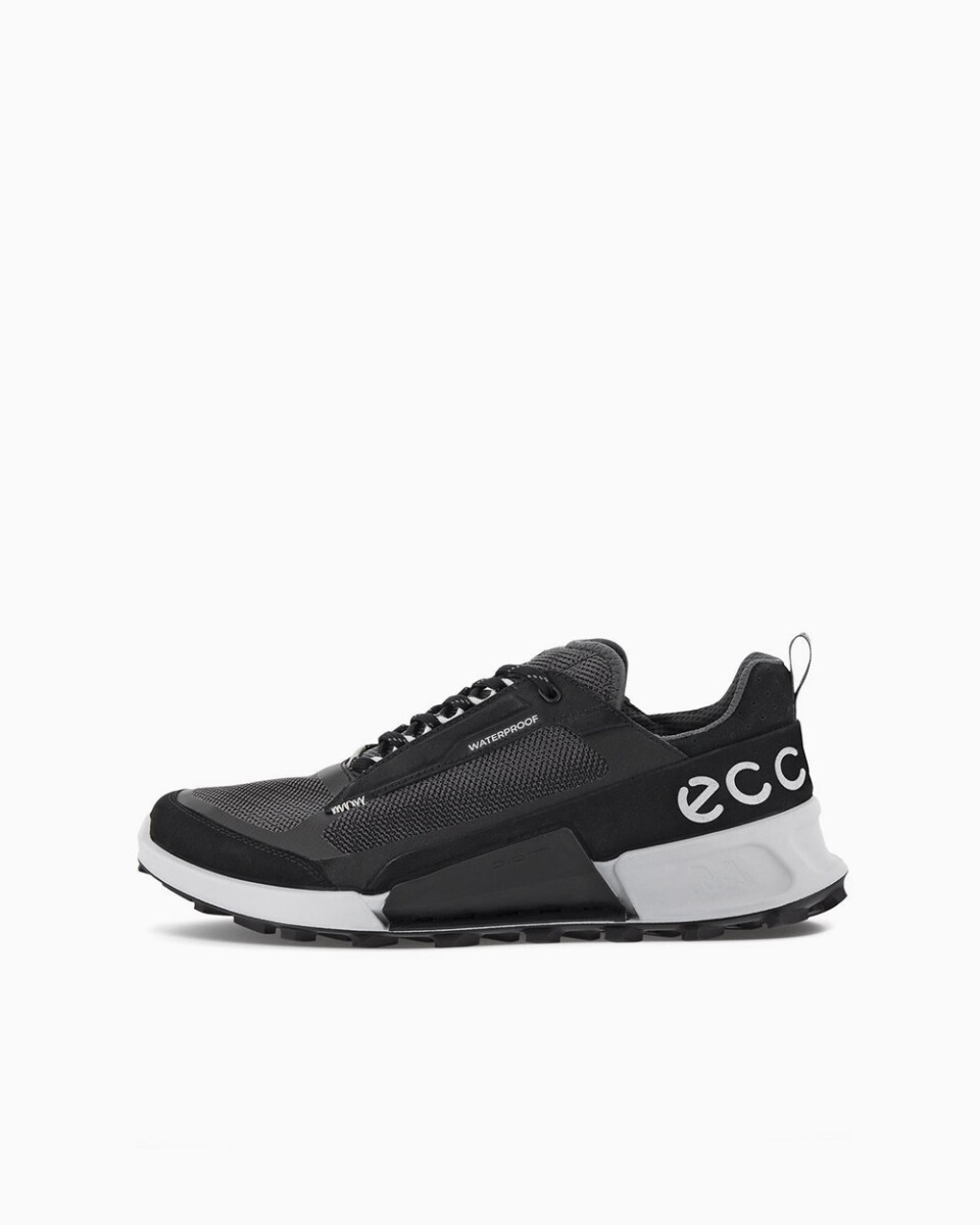 ECCO Biom 2.1 Mountain - Negro 