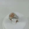Anillo de Profesión Ingeniero Agrónomo Anillo de Profesión Ingeniero Agrónomo