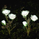 Rosa Blancas Con Luz Solar x3 Rosa Blancas Con Luz Solar x3