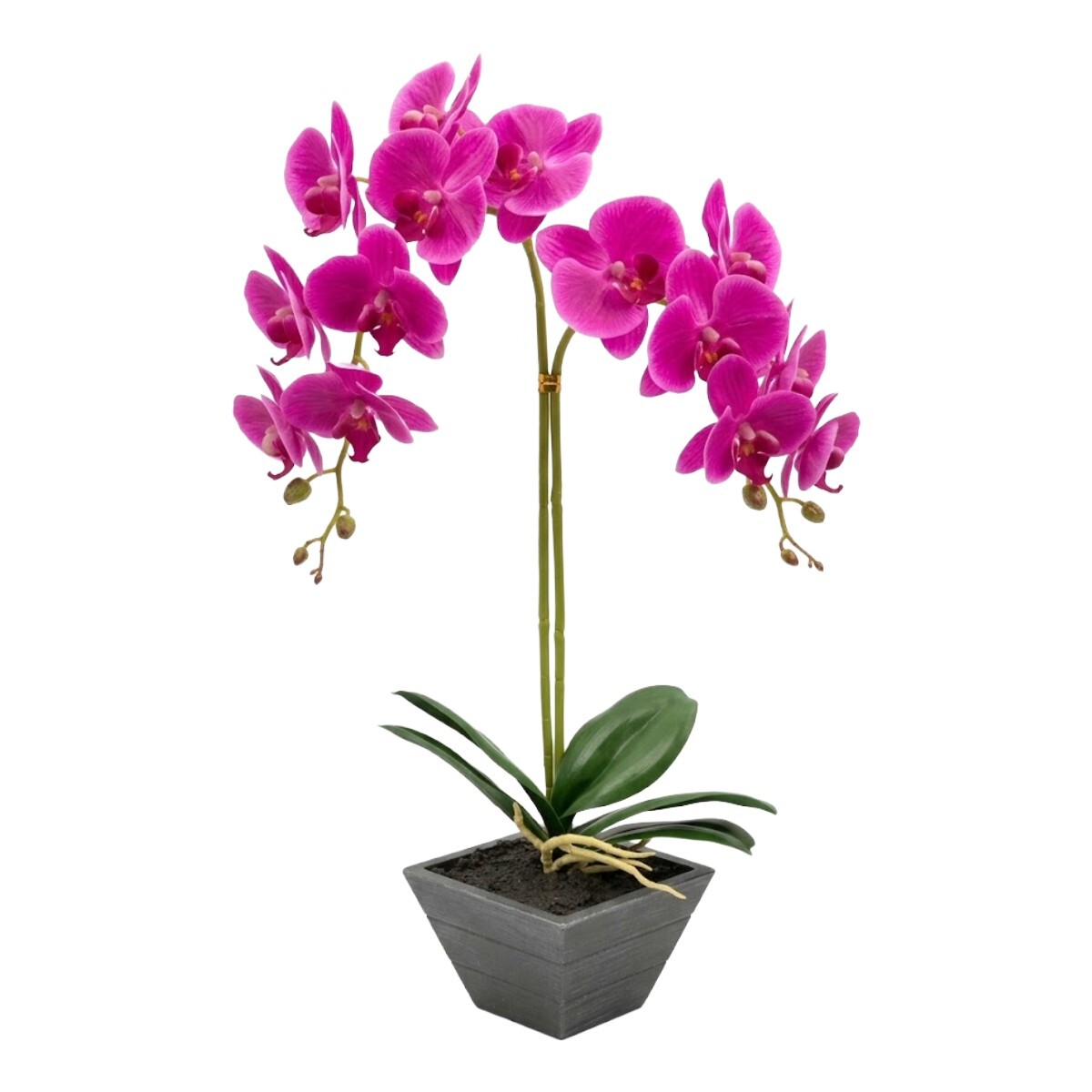 ORQUIDEA FUCSIA C/MACETERO 11.5X11.5X42CM 
