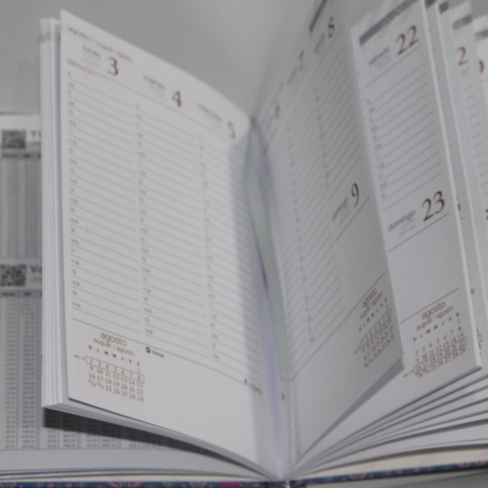 AGENDA REMEMBER SENIOR 1470 TAPA CELESTE ROSADO