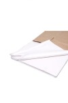 Pack x 100 - papel seda 75x50 cm BLANCO