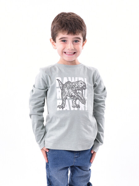 REMERA AKOS VERDE GRISACEO