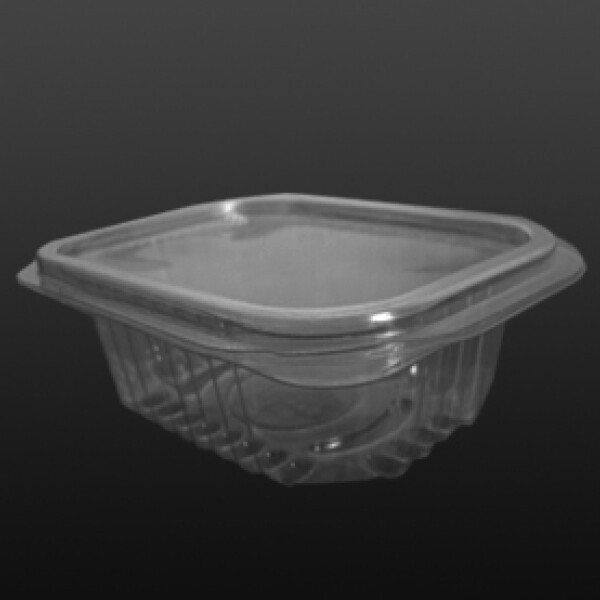 BANDEJA PET CRISTAL CON TAPA BISAGRA 9.5X7X3 CM. TRANSPARENTE