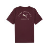Remera Puma Graphic Tee de Hombre - 688219 96 Bordo