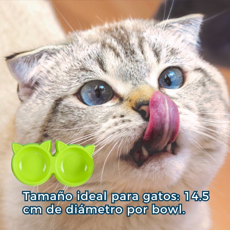 COMEDERO PARA GATO DOBLE COMEDERO PARA GATO DOBLE
