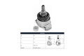 Rotula Del BMW 320I (E36)/325I (E36)/318I (E36)/323I (E36)/316I (E36)/318Tds (E36) 90-00 Der/Izq Rotula Del BMW 320I (E36)/325I (E36)/318I (E36)/323I (E36)/316I (E36)/318Tds (E36) 90-00 Der/Izq