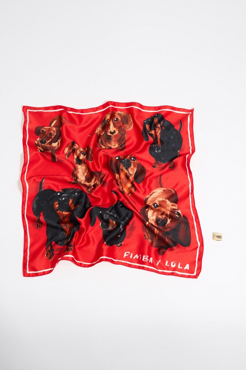 PAÑUELO Rojo