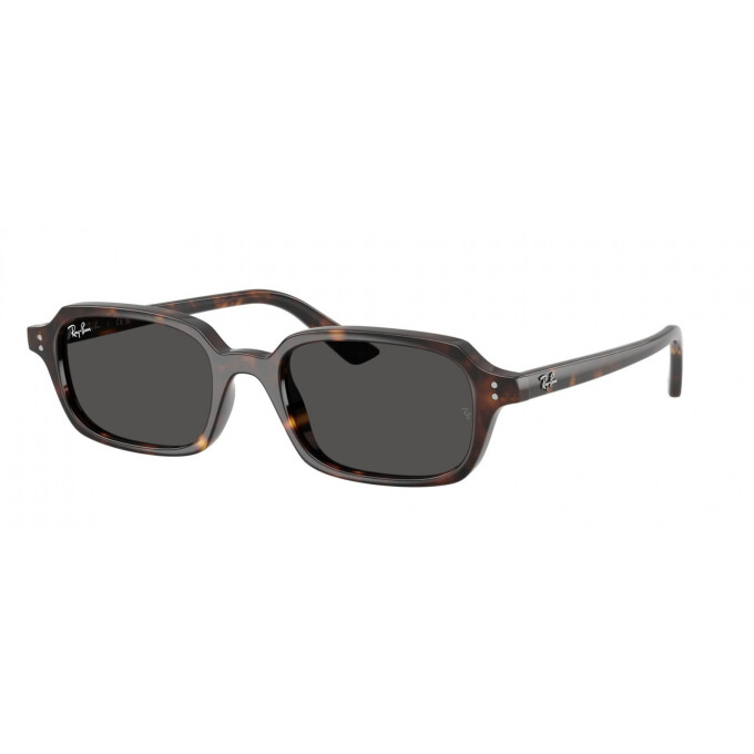 RayBan 4455 RayBan 4455