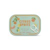 VELABIS Vela Aromática 4.5 Oz En Lata Paddywax - Orange Citrus Spritz