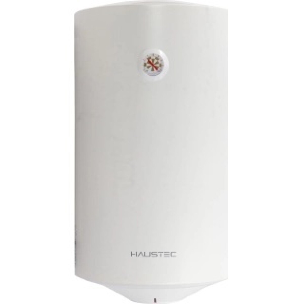 Termocalefón Haustec 100 Lts Vertical HACALE-100M 