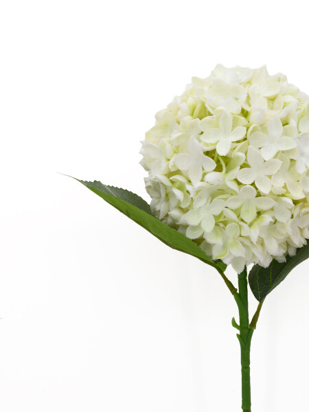 FLOR HORTENCIA FRISADA BLANCO