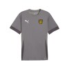 Camiseta Puma Teamgoal Matchday 13