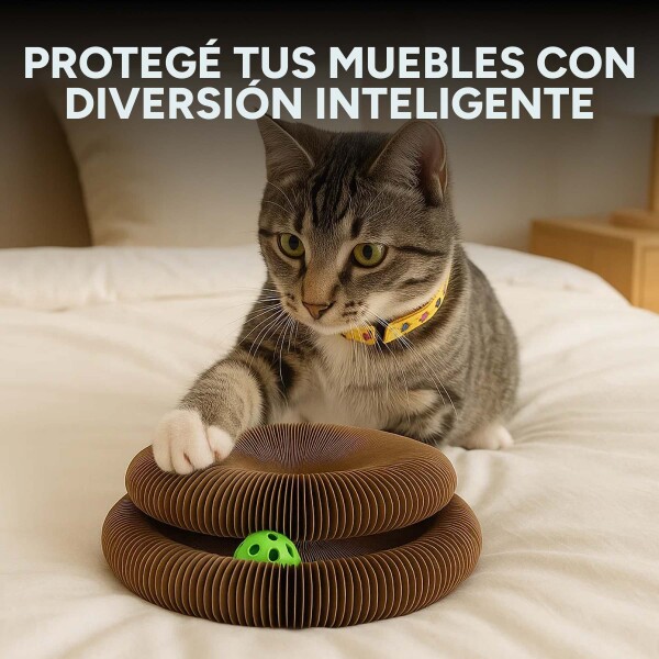 Juguete Expandible Rascador De Gatos Dona Acordeon Yerba Juguete Expandible Rascador De Gatos Dona Acordeon Yerba
