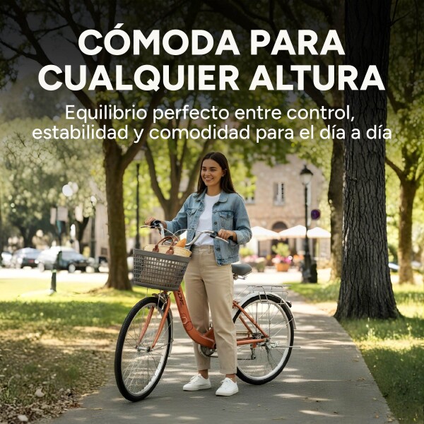 Bicicleta BDF Paseo Urbana Rodado 26 " Canasto Freno V-Brake Rosa 1