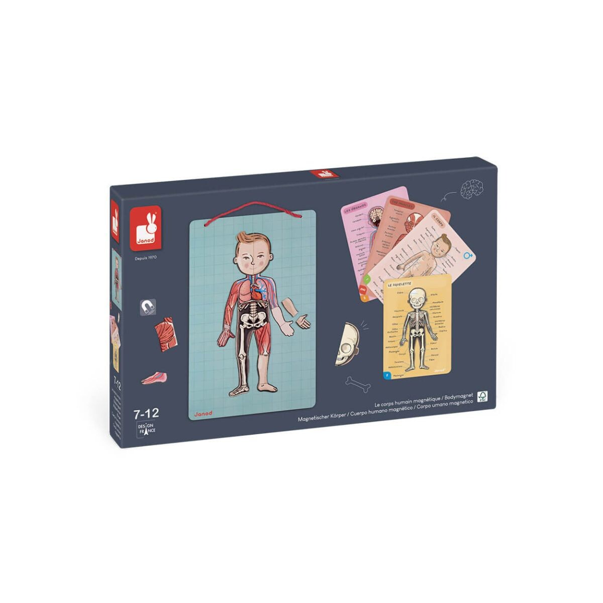 Juego didáctico y de aprendizaje magnético cuerpo humano 