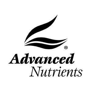 Advanced