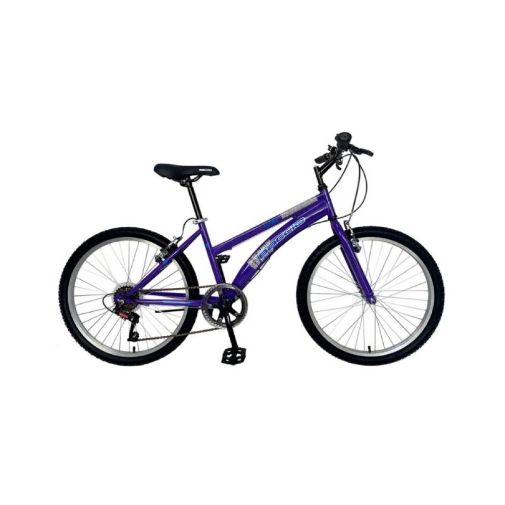 Bicicleta ALPINA LADY - Rodado 24 - Baccio Violeta