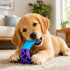 Juguete Morder Perros Gatos Limpieza Dental Golosinas Premio Color Celeste Violeta