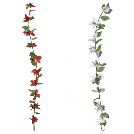 RAMA CON FLOR ESTRELLA FEDERAL RAMA CON FLOR ESTRELLA FEDERAL