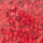 Cuentas para planchar 1.000 piezas Hama Beads Playbox Rojo