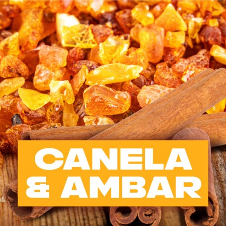 Axe Aerosol Bs Musk 2 25% Desc Axe Aerosol Bs Musk 2 25% Desc