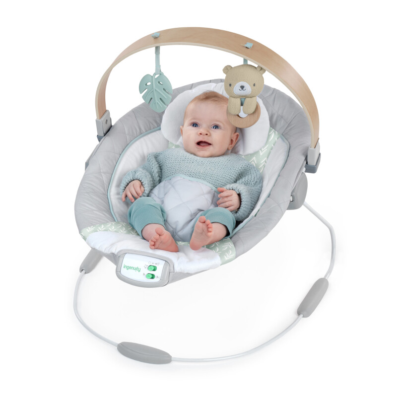 Bouncer Deluxe Cozy Spot Silla Vibradora Ingenuity Bouncer Deluxe Cozy Spot Silla Vibradora Ingenuity