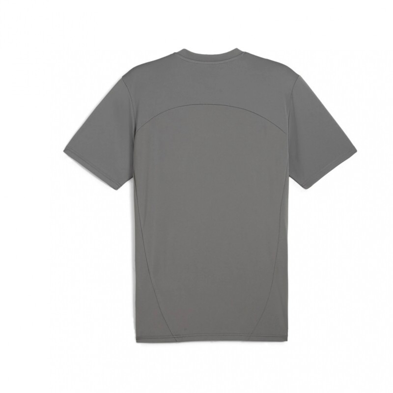 CAP Train Jersey Grey