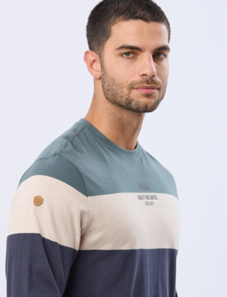 REMERA RAYADA DE ALGODÓN Azul