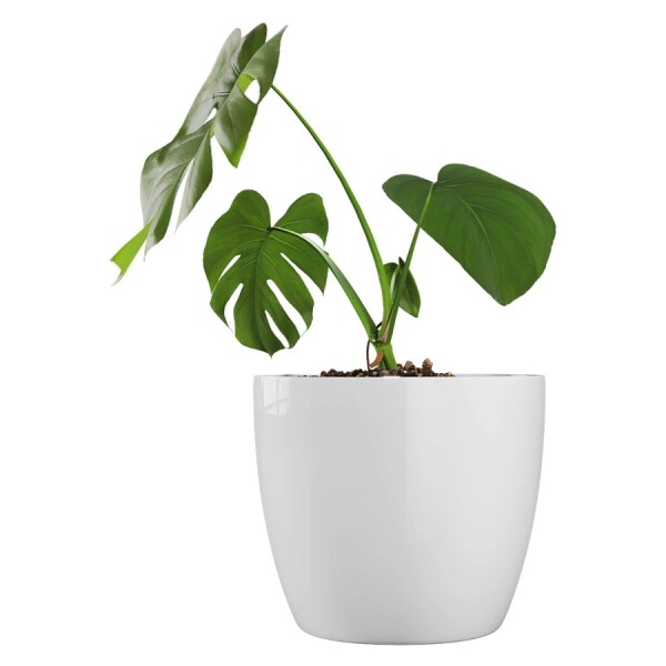 Macetero Premium N27 Blanco 23cm Alto x 27 Diam Boca, 9,5 lts Macetero Premium N27 Blanco 23cm Alto x 27 Diam Boca, 9,5 lts