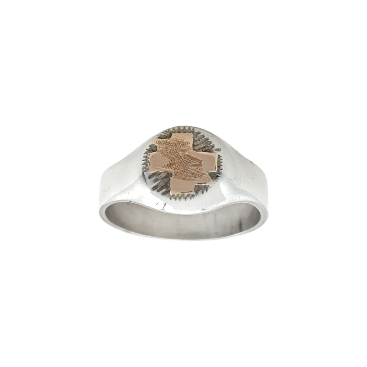 Anillo Profesión Fisioterapeuta - Plata y Oro-Sin Piedra-AP5040 - ap5040 